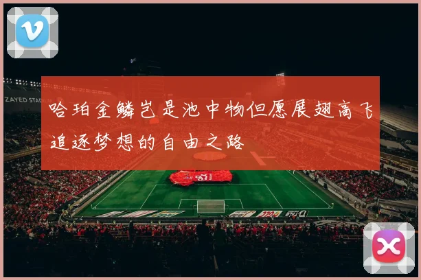 哈珀金鳞岂是池中物但愿展翅高飞追逐梦想的自由之路